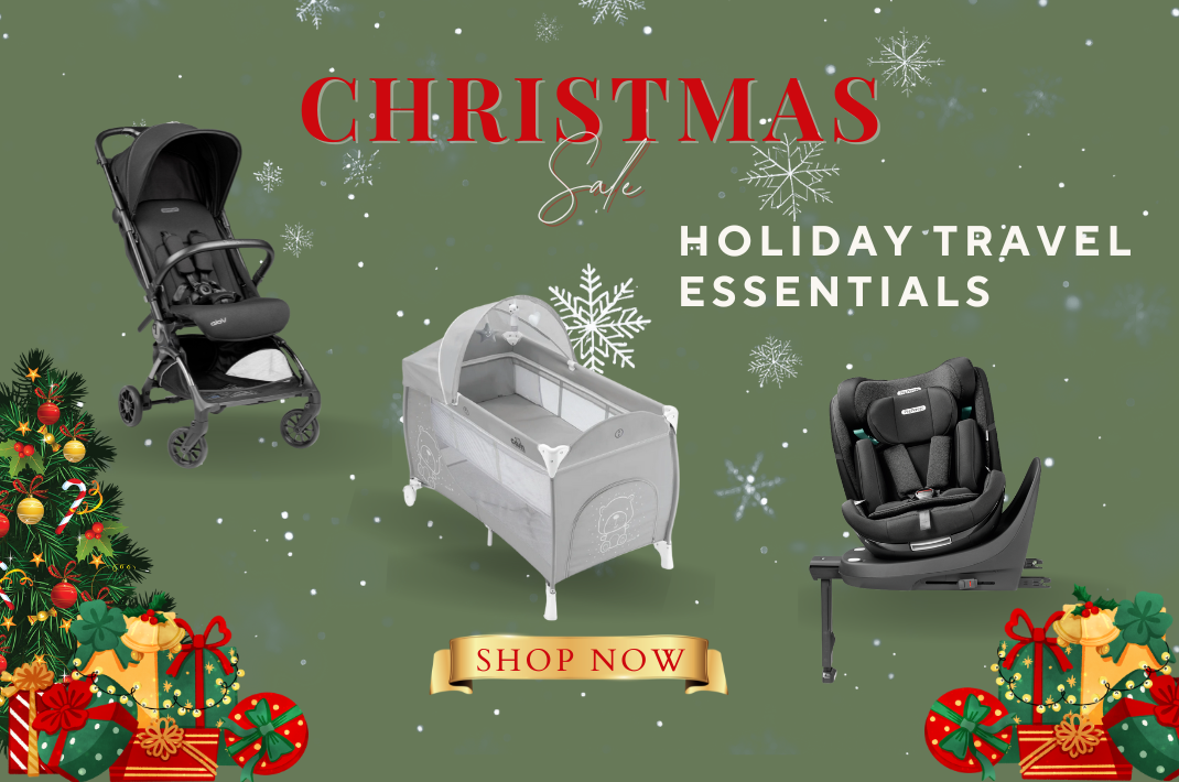 Holiday Travel Essentials