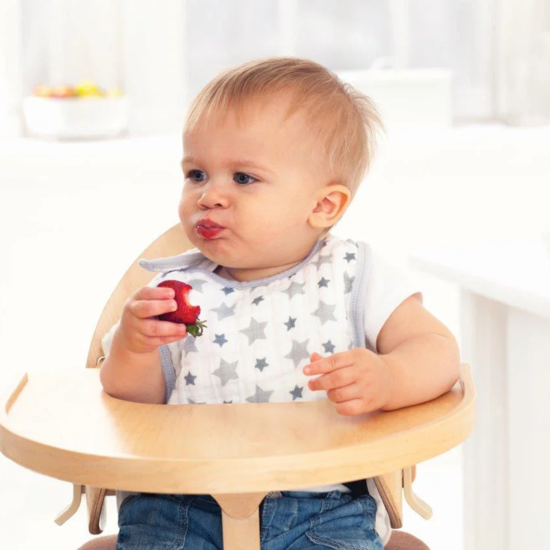 Aden+Anais 3 Pack Snap Bibs - Lovely