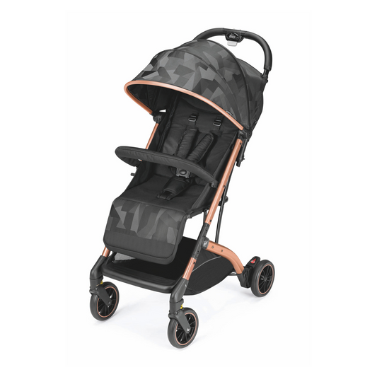 Compass 2.0 Stroller