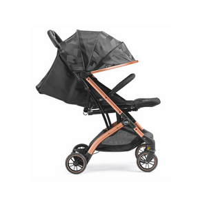 Compass 2.0 Stroller