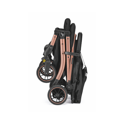 Compass 2.0 Stroller