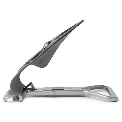 Ergobaby Evolve 3-In-1 Bouncer