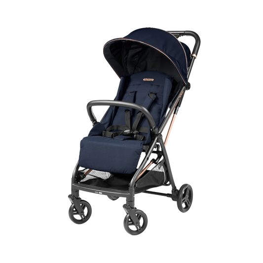 Selfie Stroller