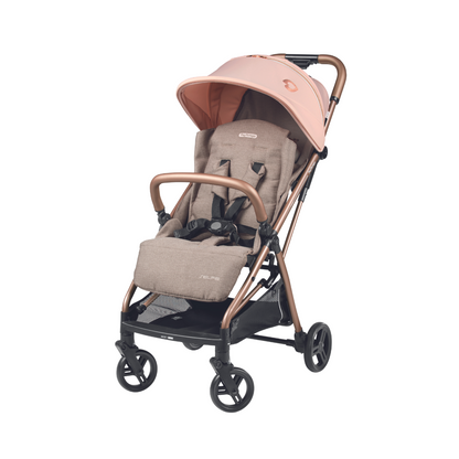 Selfie Stroller