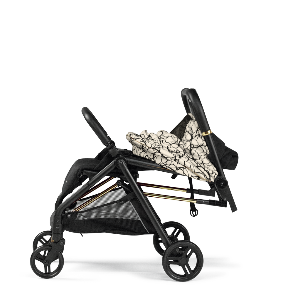Selfie Stroller