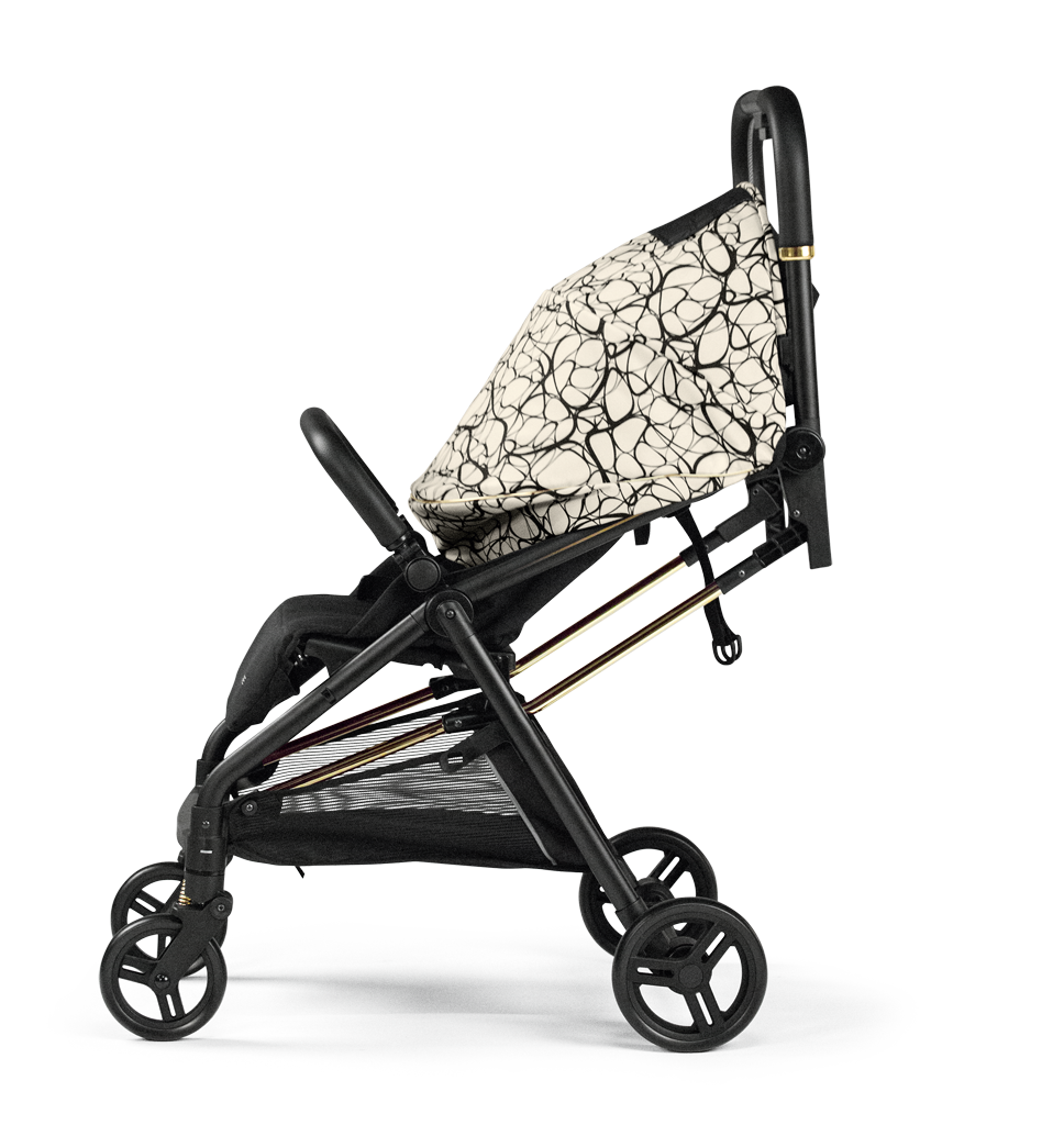 Selfie Stroller
