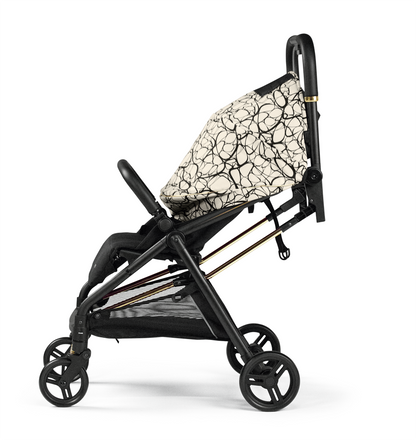 Selfie Stroller