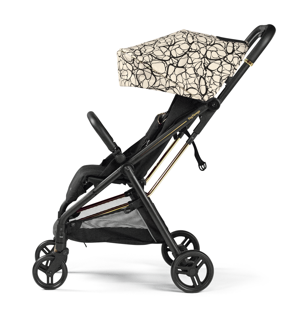 Selfie Stroller